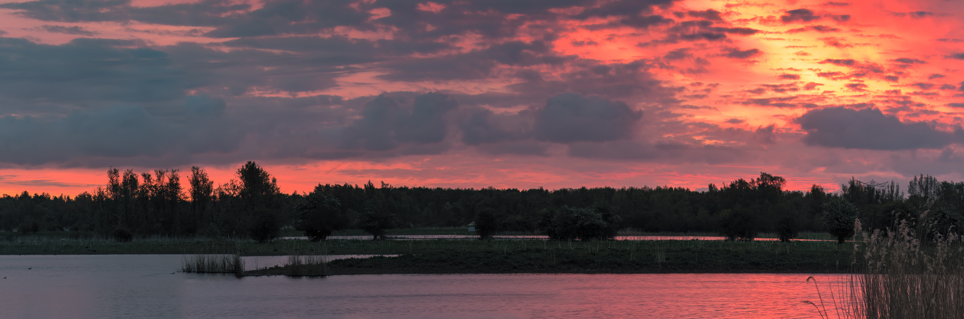 Oostvaardersveld Lelystad