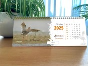 3-pieterbosch2025-kalender-wiedevogels.jpg